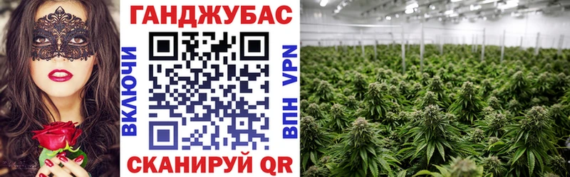 Где купить наркоту Костомукша Конопля Alpha PVP kraken вход МЕФ Cocaine ГАШ