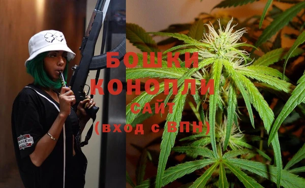 прущие грибы Абдулино