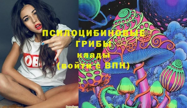 мяу мяу мука Покров