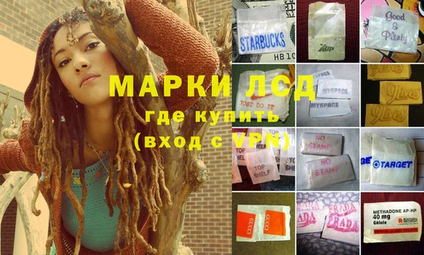 прущие грибы Абдулино
