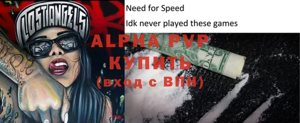эйфоретик Вяземский