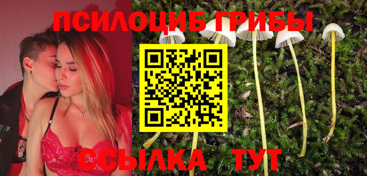 Псилоцибиновые грибы прущие грибы  Галлюциногенные грибы Cubensis  Вход с VPN  Костомукша 