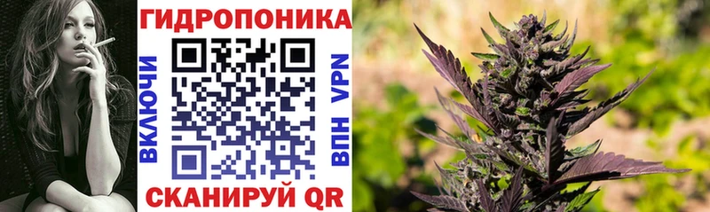 Канабис SATIVA & INDICA  Костомукша 